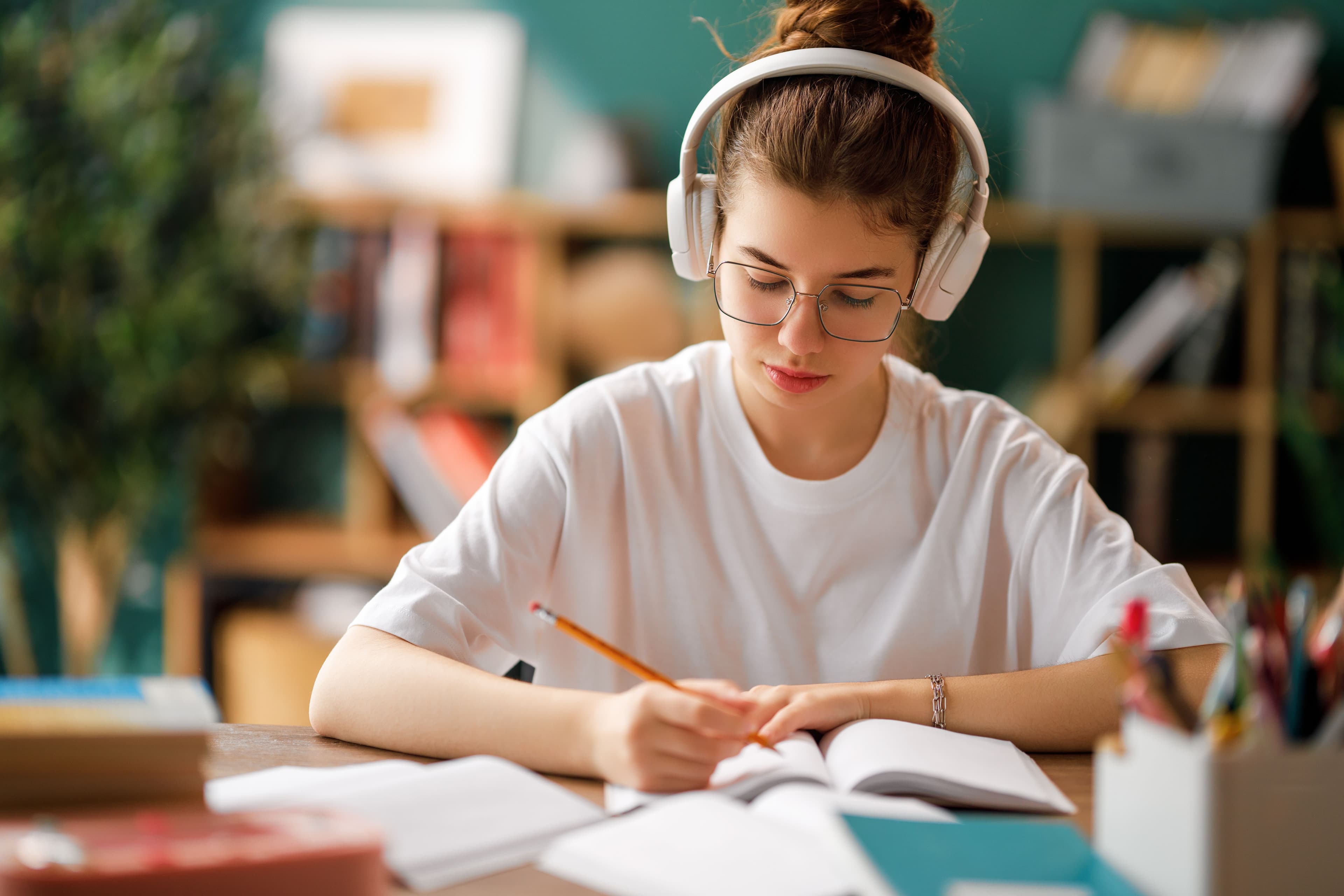 C2.1 — Ustalık Düzeyinde Anlama ve Kullanım